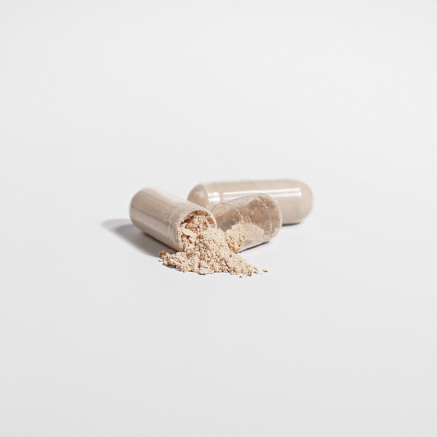 Cordyceps Mushroom-Enhance Immune System | Muscle Recovery